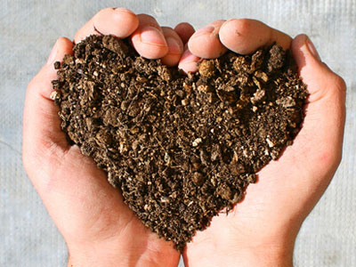 Earth day, soil in hands